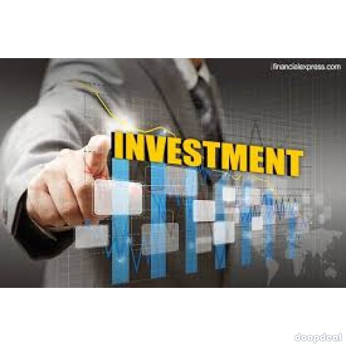  I am a serious private investor looking for positive investment
