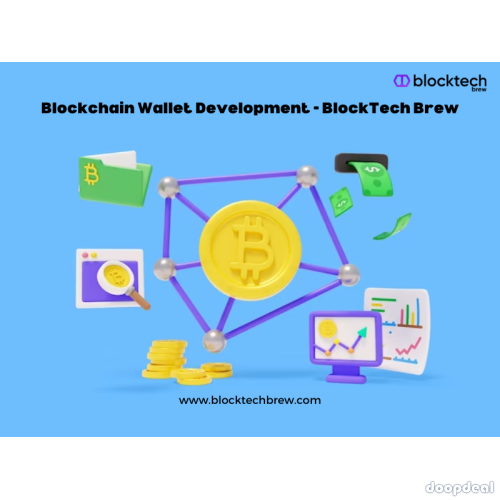 Hire Feature-Rich Blockchain Wallet Development - BlockTech Brew