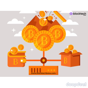 Create Your Own Custom Crypto Wallet App with Our Expert Developers