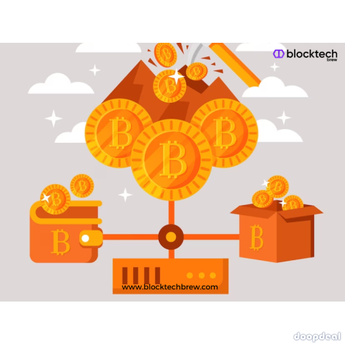 Create Your Own Custom Crypto Wallet App with Our Expert Developers